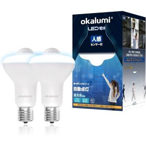 LED電球 人感センサー付 E17口金 6W 60形相当 小型電球 610lm 下方向タイプ 明暗センサー付( 昼光色,  2個セット)｜horikku