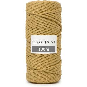 マクラメ糸 3mm ロープ ヤーン 100m x...の商品画像