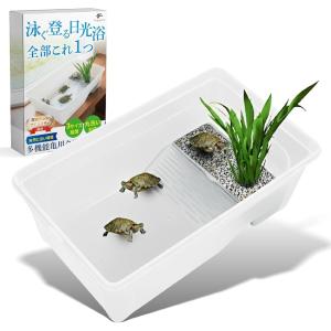 爬虫類飼育アドバイザー監修 亀 水槽 カメ タートル 飼育ケース クリア 水中 陸地 丈夫 (ホワイト 中サイズ（31x24x14cm）)