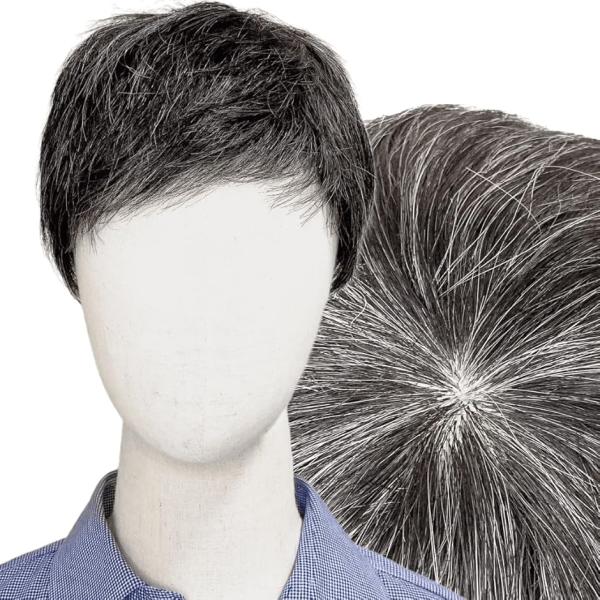 ウィッグ 白髪 白髪かつら 医療用 フルウィッグ ショート グレイヘア 高齢者 中高年(白2黒8, ...