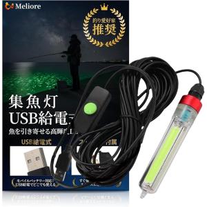 集魚灯 水中ライト ベテラン推奨 グリーンの買取情報