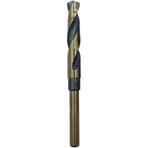 ドリルビット 鉄鋼 鉄工用 金属 穴あけ ピンチシャンク スピードスチール (12mm)