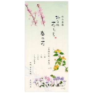 一筆箋 春柄 外山康夫 折々の花たち 春の花 20-241  16枚 美濃和紙 桜 桃 山吹 大三角草 表現社