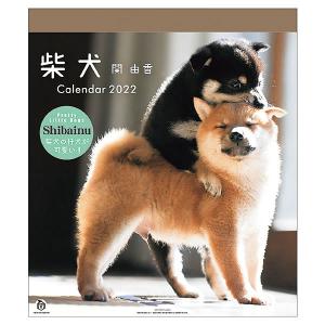 カレンダー 2022 壁掛け 仔犬/柴犬 30角 016 アートプリントジャパン 令和4年 いぬ 犬 イヌ 犬 猫シリーズ