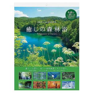 カレンダー 2023 壁掛け APJ 068 癒しの森林浴 森の香り付き アートプリントジャパン 令和5年 フォレスト 風景シリーズ
