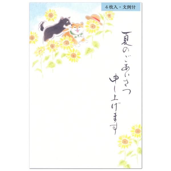 はがき 夏柄 夏のご挨拶はがき 柴犬 5592809 （27） 4枚入り 文例付き ハガキ 葉書 サ...