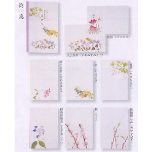 外山康雄 画 折々の花たちはがきセット 第二集(秋） 30-534 : 堀
