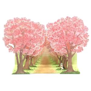 春カード 多目的 桜並木 P4122 立体カード さくらカード