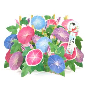 グリーティングカード 多目的 夏カード 朝顔いっぱい