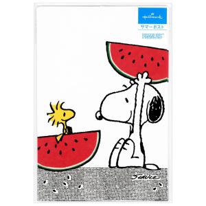 サマーポストカード スヌーピー スイカばんざい 3枚入 SCP-725-587  ホールマーク はがき ハガキ 葉書 暑中見舞い