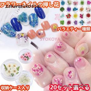 20セット選べる 押し花セット フラワーネイル ...の商品画像