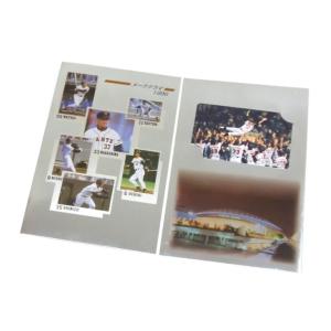 1990年 セリーグ優勝記念 読売ジャイアンツ テレホンカード テレカ