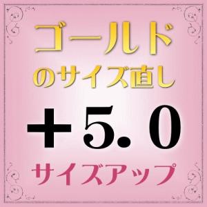 ゴールド指輪　サイズ直し代金＋5.0【基本料金￥1,650＋￥1,650】(ring-g50u) ※当店で指輪をご購入の際にご利用ください。※(ring-g50u) ※当店で指輪をご購入｜horita78