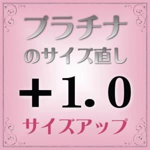 プラチナ指輪　サイズ直し代金＋1.0【基本料金￥1,650＋￥550】(ring-p10u) ※当店で指輪をご購入の際にご利用ください。※(ring-p10u) ※当店で指輪をご購入の｜horita78