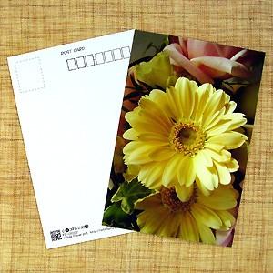 花のポストカード ガーベラ(黄色)