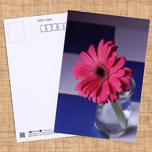 坂本龍馬 ポストカード : 小山商店ウェブショップ - 通販 - Yahoo