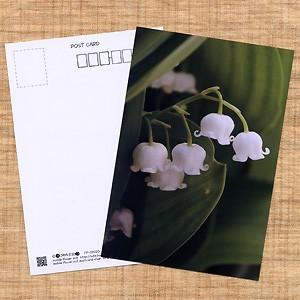 花のポストカード スズラン｜horiya-studio