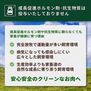 有機 JAS オーガニック 無添加 グラスフェ...の詳細画像5