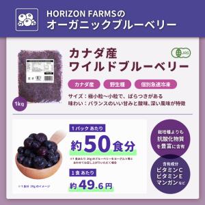 有機 JAS オーガニック フルーツ 冷凍 ワ...の詳細画像3