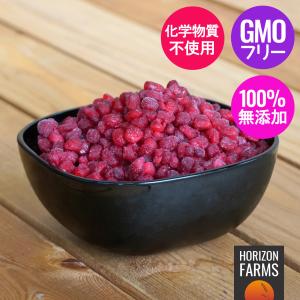 冷凍 オーガニック フルーツ ザクロ 種 トルコ産 化学物質不使用 1kg 無添加 有機ざくろ 砂糖不使用 冷凍フルーツ スムージー IQF 遺伝子組換え不使用