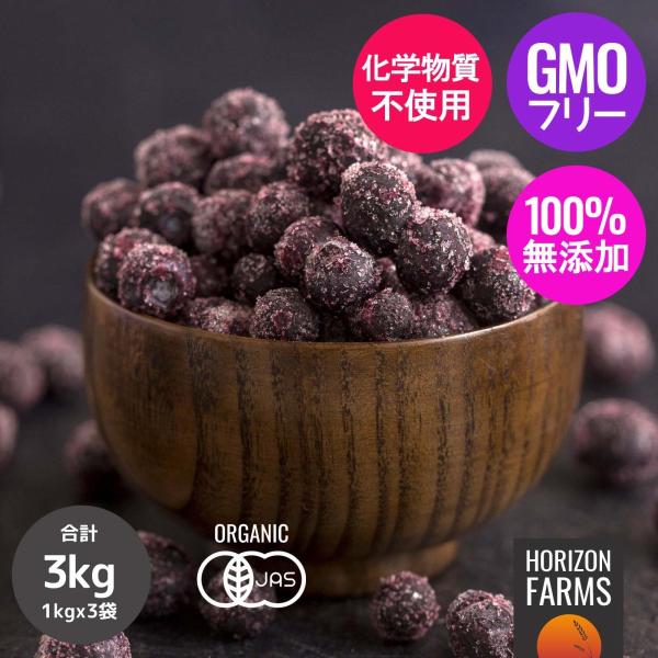 有機 JAS オーガニック フルーツ 冷凍 ワイルド ブルーベリー 野生種 カナダ産 化学物質不使用...