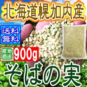 ◆そばの実◆発送日◆【発送に14日程度かかります】送料無料 900ｇ　蕎麦の実！　国産、北海道産、幌加内産玄そば使用！｜horokanai