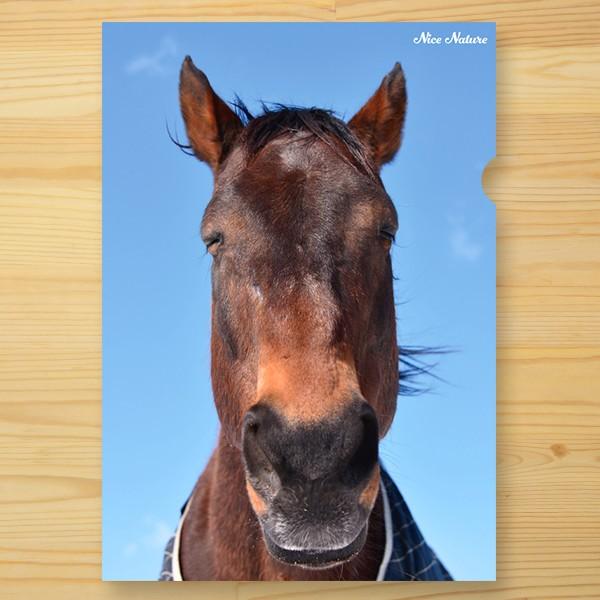 引退馬協会 ナイスネイチャ