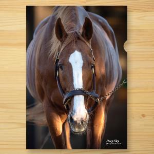 ＜引退馬協会＞クリアファイル「ディープスカイ」