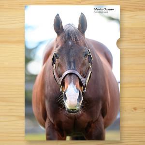 ＜引退馬協会＞クリアファイル「メイショウサムソン」