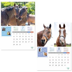 <引退馬協会>フォスターホースカレンダー2024の詳細画像4