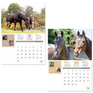 <引退馬協会>フォスターホースカレンダー2024の詳細画像5