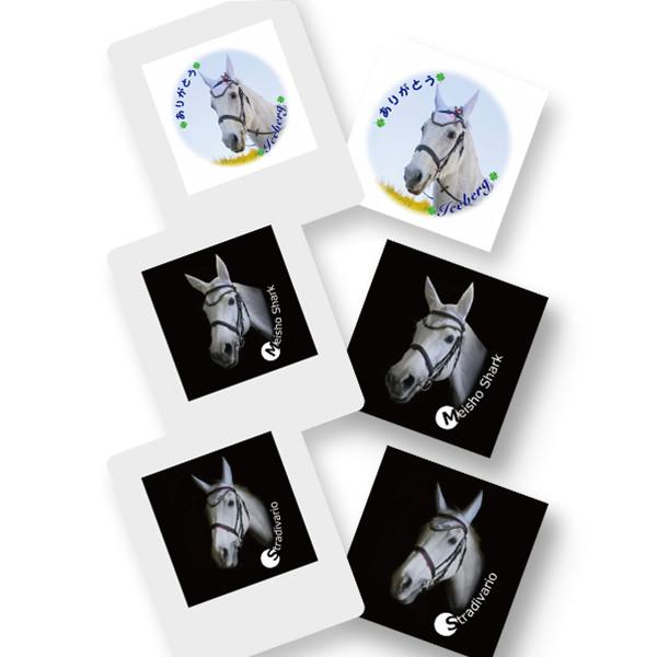 ＜差し入れ付き＞園田競馬の誘導馬コーヒー（ステッカー、ミニシール付き）