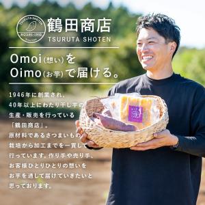 干し芋 紅はるか 平干し 2.5kg(250g...の詳細画像3