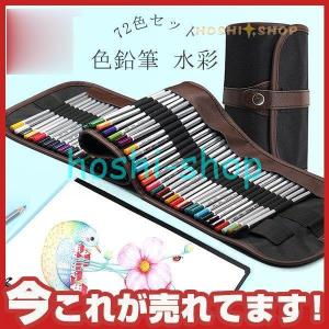 ホルベイン　アーチスト油性色鉛筆　100色セット　新品未開封 10%off 送料無料 ホルベイン アーチスト色鉛筆100色セットアート