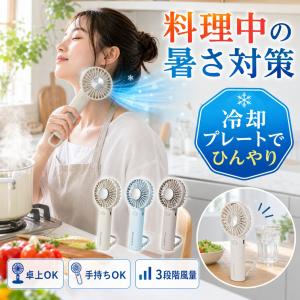 冷却プレート ハンディファン 130g 3色 携帯扇風機 3段階風量 USB充電 卓上 キッチン 料理中 室内作業 暑さ対策