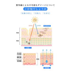 今だけ大特価!2025新発売 【楽天1位&am...の詳細画像3