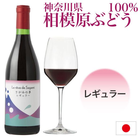 神奈川県産ぶどう使用 さがみの夢 レギュラー 2015 720ml 日本ワイン 国産ワイン 富士の夢...