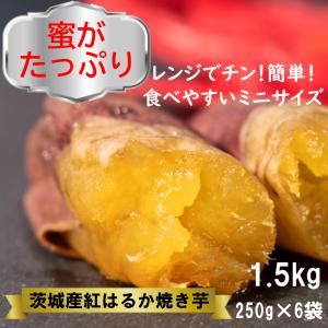 焼き芋 1.5kg 紅はるか ミニサイズ 焼きいも ヤキイモ 茨城県産 さつまいも　おやつ　ギフト ...