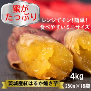 焼き芋 2.5kg 紅はるか ミニサイズ 焼きいも ヤキイモ 茨城県産 焼き芋 2.5kg 紅はるか ミニサイズ 焼きいも ヤキイモ 茨城県産