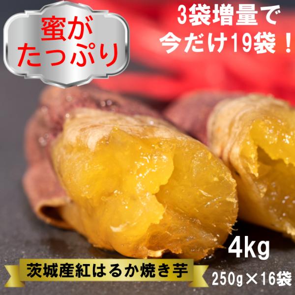 焼き芋 4kg 紅はるか ミニサイズ 焼きいも ヤキイモ 茨城県産 さつまいも　おやつ　ギフト 冷や...
