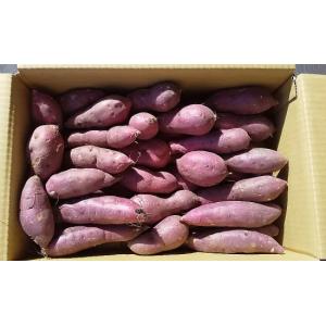 紅はるか SSサイズ 生サツマイモ 5kg