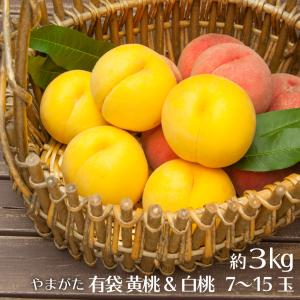 桃 黄桃＆白桃のセット 約３kg ７玉〜１５玉 山形県産 送料無料 ピーチ  黄桃 マンゴー モモ