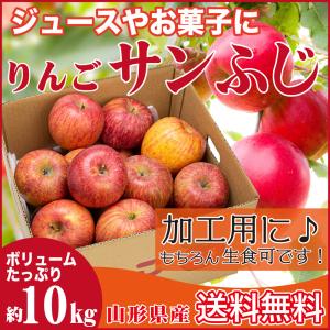 りんご 加工用 １０キロ サンふじ 山形県産 ジュース用