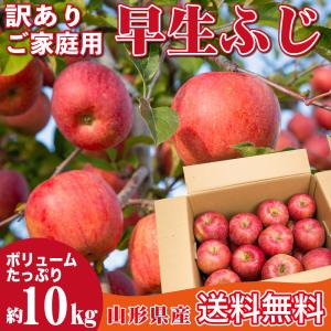 りんご 10kg 訳あり 早生ふじ 山形県産 約10キロ ご家庭用 林檎 リンゴ