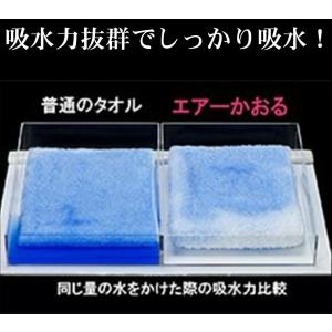 エアーかおる エクスタシー エニータイム ハー...の詳細画像3