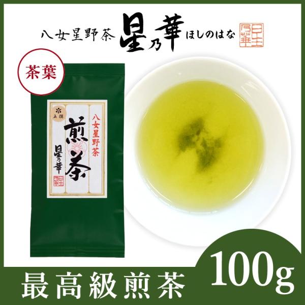 お茶　緑茶　八女茶　星野茶　茶葉　煎茶100g×1 玉撰 ぎょくせん 星乃華 ほしのはな