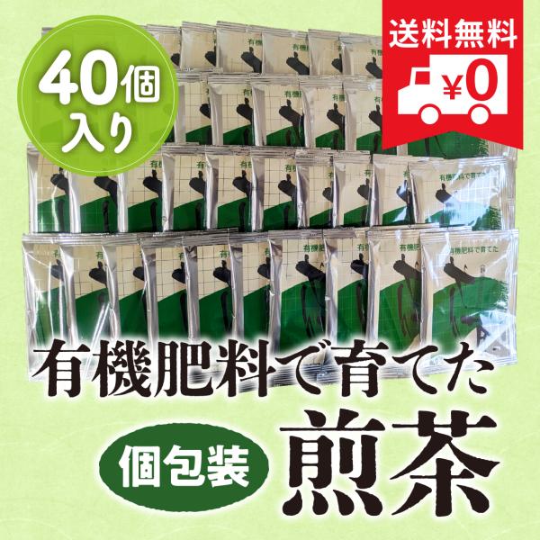 送料無料　お茶 緑茶 日本茶 煎茶ティーバッグ 2g×40個　 送料無料　星乃華　
