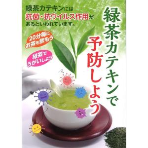 送料無料 お茶 緑茶 日本茶 八女茶 煎茶ティ...の詳細画像2