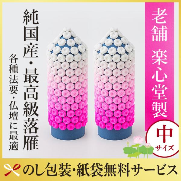 楽心堂本舗　落雁　らくがん　中サイズ　お供え　初盆　仏壇　贈答　のし 包装　花しのぶ　アウトレット品