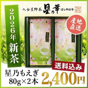 送料無料　数量限定　八女茶　星野茶　新茶100g×2 星乃もえぎ 星乃華 ほしのはな
